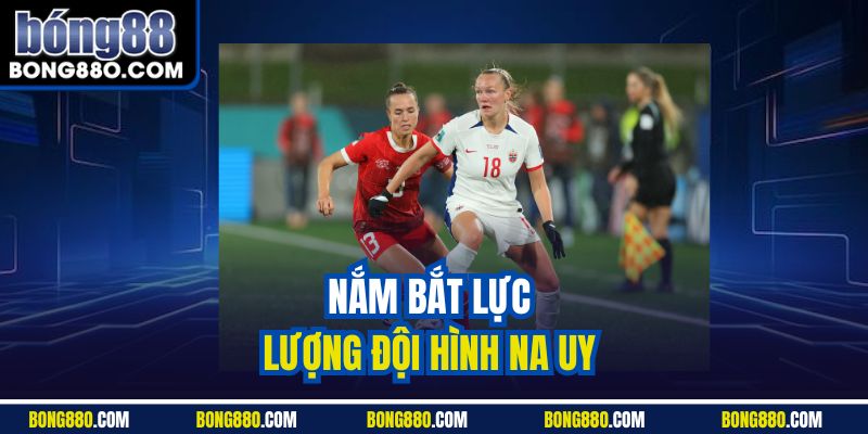 Nắm bắt lực lượng đội hình Na Uy