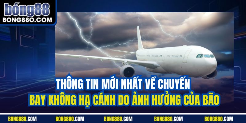 Thông tin mới nhất về chuyến bay không hạ cánh do ảnh hưởng của bão